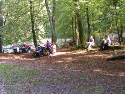 Foto des Albums: 2014 Herbstwanderung (03.10.2014)
