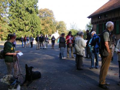 Foto des Albums: 2014 Herbstwanderung (03.10.2014)