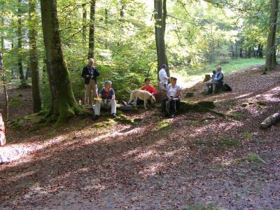 Foto des Albums: 2014 Herbstwanderung (03.10.2014)