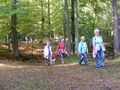 Foto des Albums: 2014 Herbstwanderung (03.10.2014)