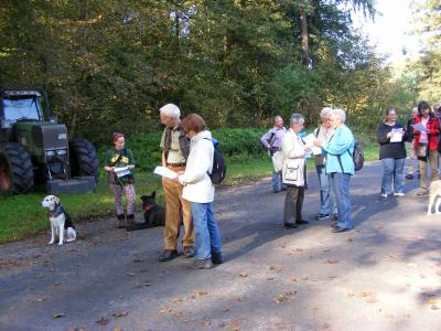 Foto des Albums: 2014 Herbstwanderung (03.10.2014)