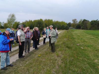 Foto des Albums: Wanderung mit dem NABU in Butzow (25.04.2015)