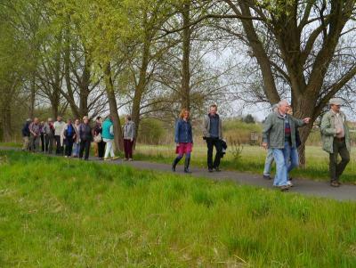 Foto des Albums: Wanderung mit dem NABU in Butzow (25.04.2015)