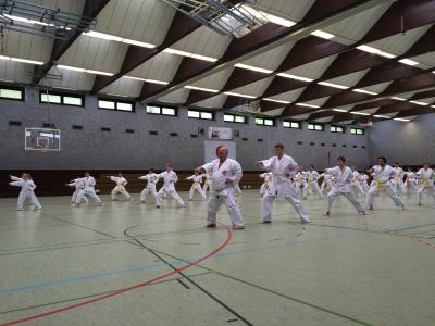 Foto des Albums: Lehrgang mit Ochi Shihan in Münster