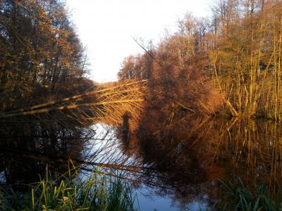 Vorschaubild: Steffi Kuhnke_Herbstliche Wasserwege zwischen Emstal und Rädel 