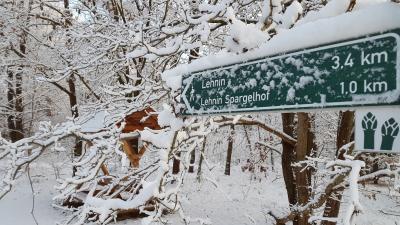 Vorschaubild: Sascha Bösenthal_Verschneiter Winterwald 