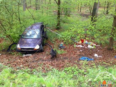 Unfallfahrzeug PKW Ford 