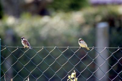 Foto des Albums: Die Prignitz