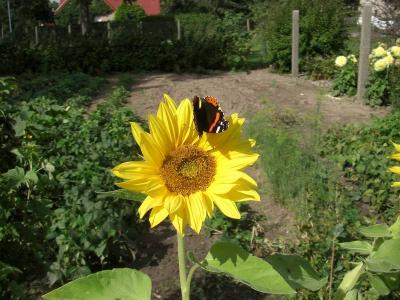 Foto des Albums: Die Prignitz