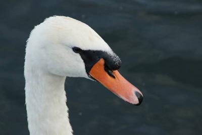 Foto des Albums: Die Prignitz