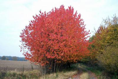 Foto des Albums: Die Prignitz