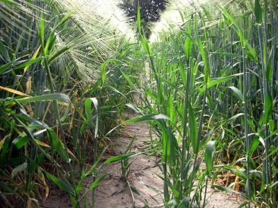 Foto des Albums: Die Prignitz