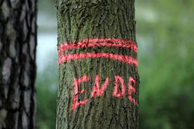 Ende  (Bild vergr&ouml;&szlig;ern)