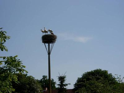 Foto des Albums: Die Prignitz