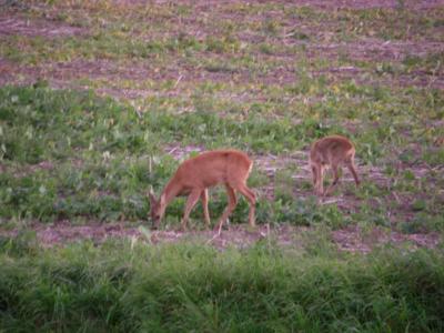 Foto des Albums: Die Prignitz