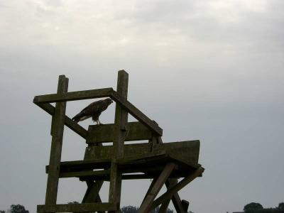 Foto des Albums: Die Prignitz