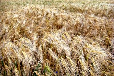 Foto des Albums: Die Prignitz