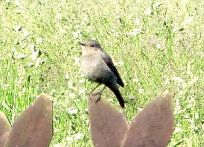 Foto des Albums: Die Prignitz