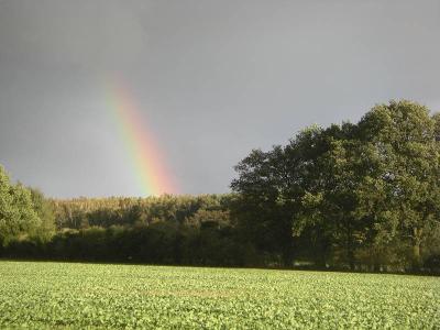 Foto des Albums: Die Prignitz