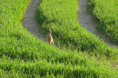 Foto des Albums: Die Prignitz