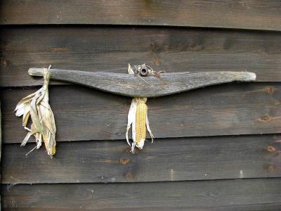 Foto des Albums: Die Prignitz