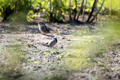 Foto des Albums: Die Prignitz