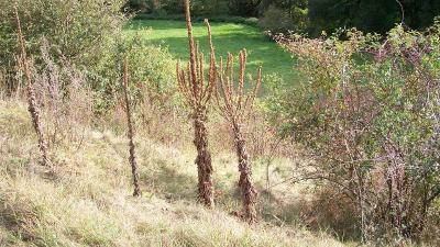 Foto des Albums: Die Prignitz