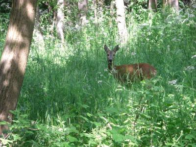 Foto des Albums: Die Prignitz
