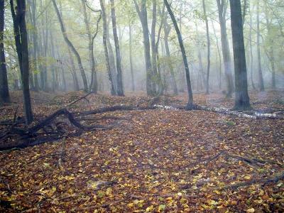 Foto des Albums: Die Prignitz