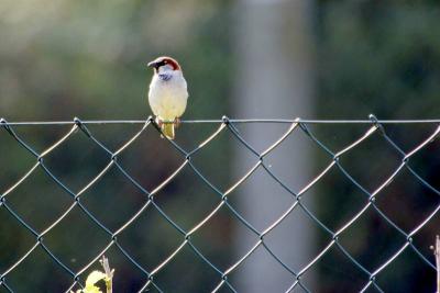 Foto des Albums: Die Prignitz