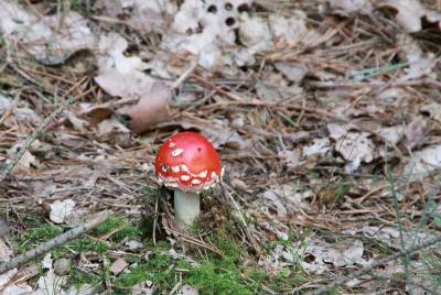 Foto des Albums: Die Prignitz
