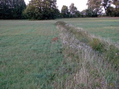 Foto des Albums: Die Prignitz