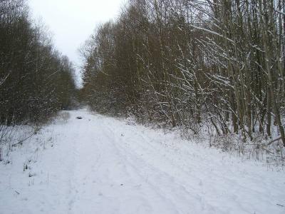 Foto des Albums: Die Prignitz