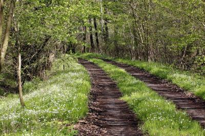 Foto des Albums: Die Prignitz