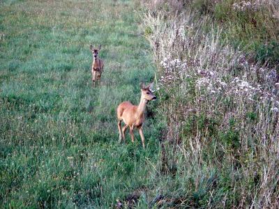 Foto des Albums: Die Prignitz