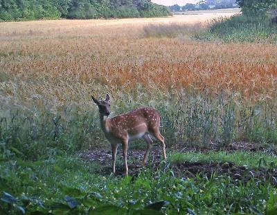 Foto des Albums: Die Prignitz
