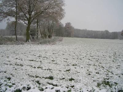 Foto des Albums: Die Prignitz
