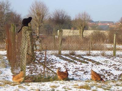 Foto des Albums: Die Prignitz