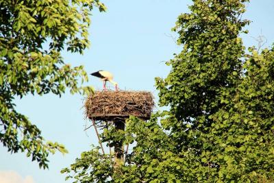 Foto des Albums: Die Prignitz