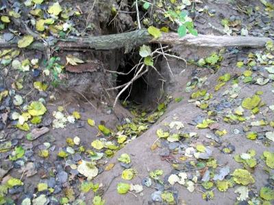 Foto des Albums: Die Prignitz
