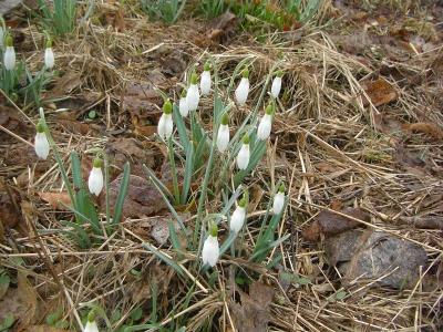 Foto des Albums: Die Prignitz