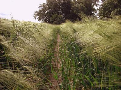 Foto des Albums: Die Prignitz