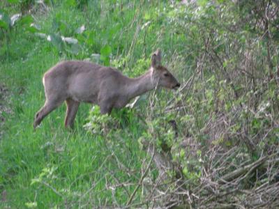 Foto des Albums: Die Prignitz