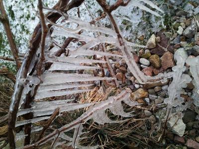 Foto des Albums: Die Prignitz