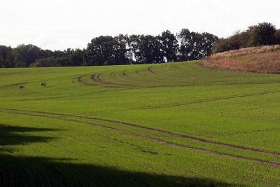 Foto des Albums: Die Prignitz
