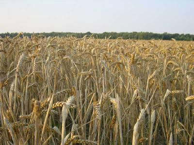 Foto des Albums: Die Prignitz