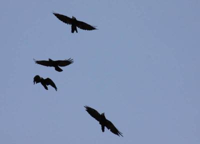 Foto des Albums: Die Prignitz