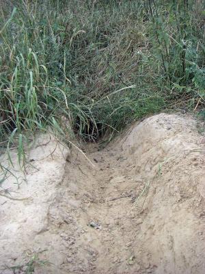 Foto des Albums: Die Prignitz