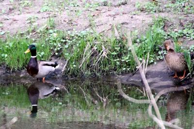 Foto des Albums: Die Prignitz