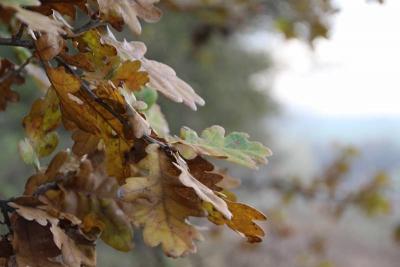 Foto des Albums: Die Prignitz
